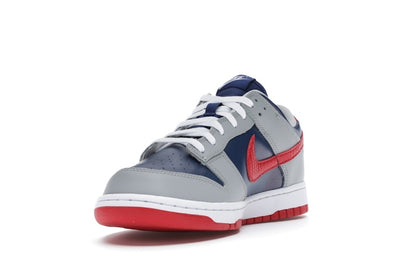 Nike Dunk Low CO.JP Samba (2020)
