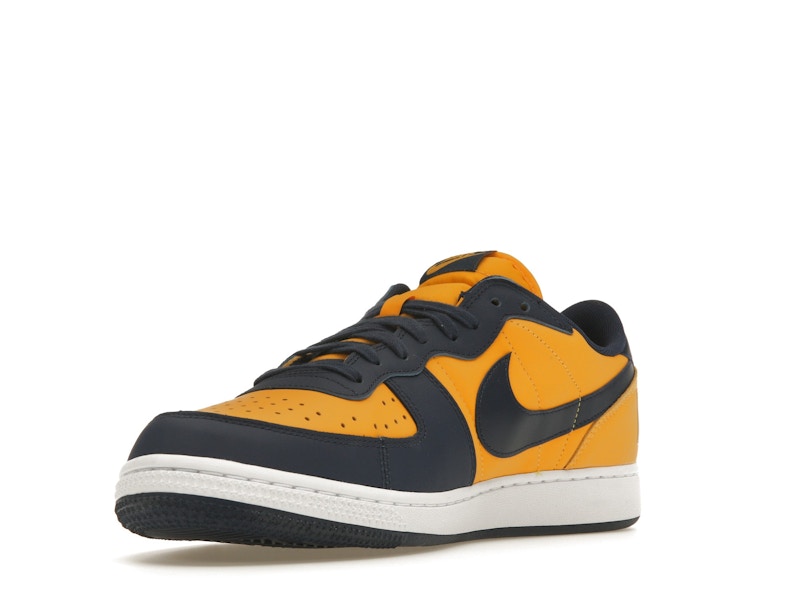 Nike Terminator Low Michigan