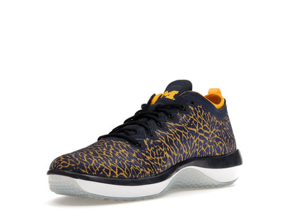 Jordan Trainer 1 Low Michigan