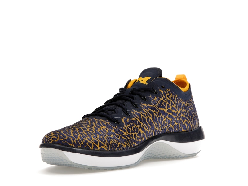 Jordan Trainer 1 Low Michigan