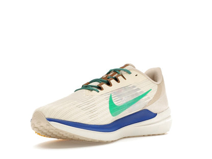 Nike Winflo 9 Premium Nike Moving Company