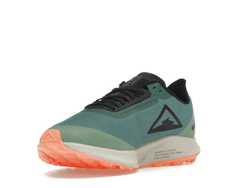 Nike Zoom Pegasus 36 Trail Gore-Tex Bicoastal (Women's)