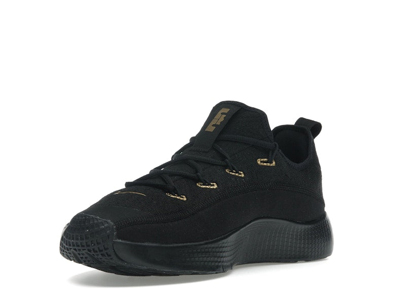 Nike LeBron TR 1 Black Metallic Gold