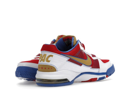 Nike Air Trainer SC Manny Paquiao