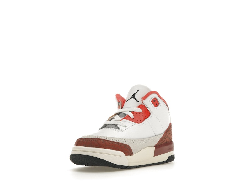 Jordan 3 Retro SE Dunk on Mars (TD)