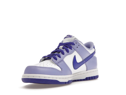 Nike Dunk Low Blueberry (GS)