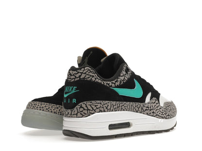Jordan 3 Retro & Nike Air Max 1 atmos Pack