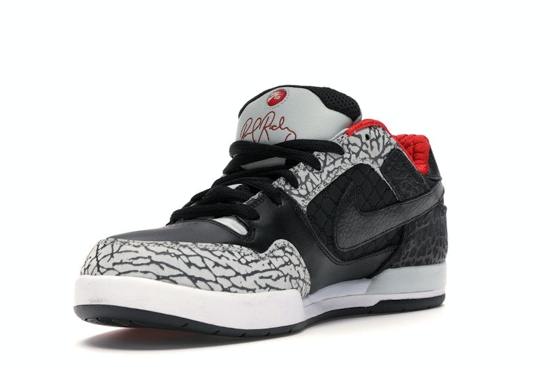 Nike Paul Rodriguez 2 Zoom Air Grey Haze/Black