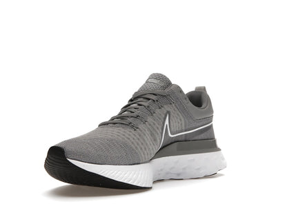 Nike React Infinity Run Flyknit 2 Particle Grey