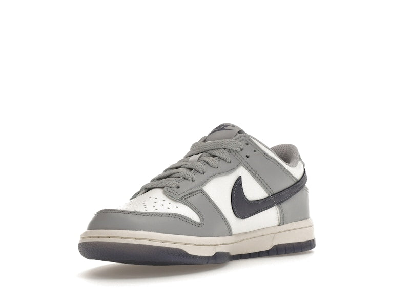 Nike Dunk Low Platinum Tint Light Carbon (GS)