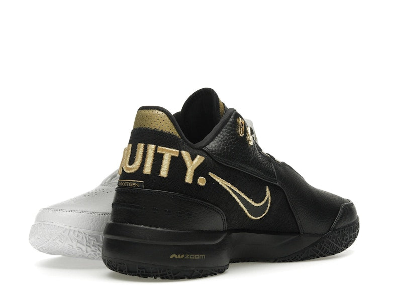 Nike Zoom LeBron NXXT Gen AMPD Equity