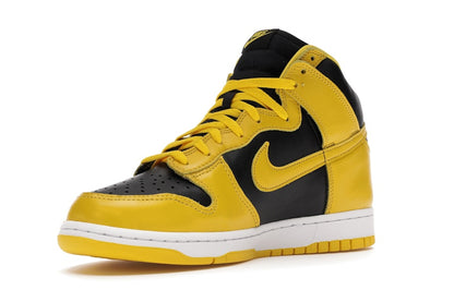 Nike Dunk High Iowa (2020)