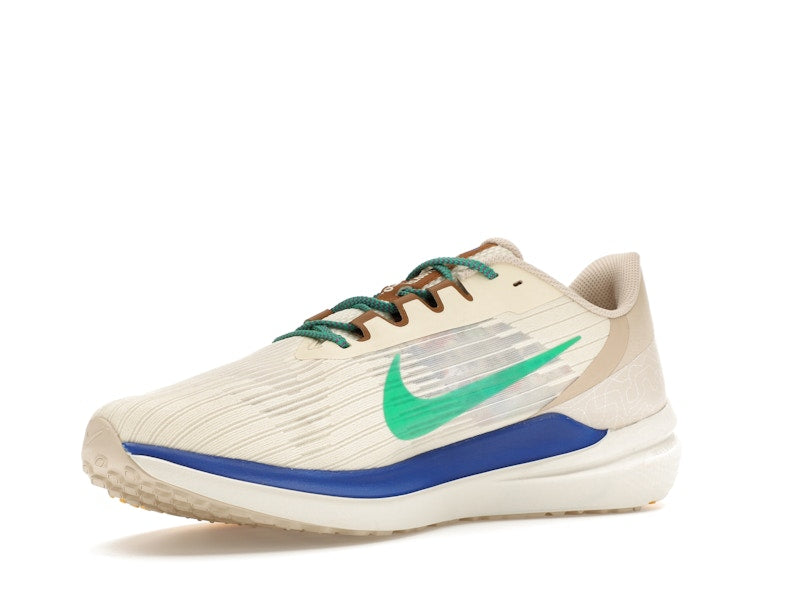 Nike Winflo 9 Premium Nike Moving Company