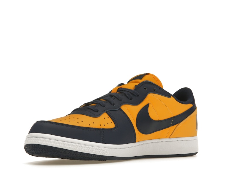 Nike Terminator Low Michigan