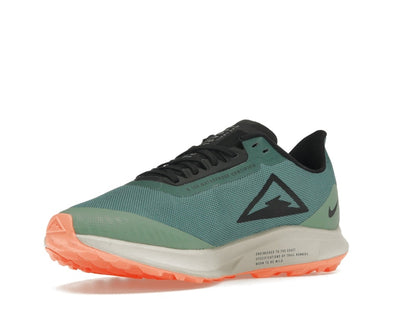 Nike Zoom Pegasus 36 Trail Gore-Tex Bicoastal (Women's)