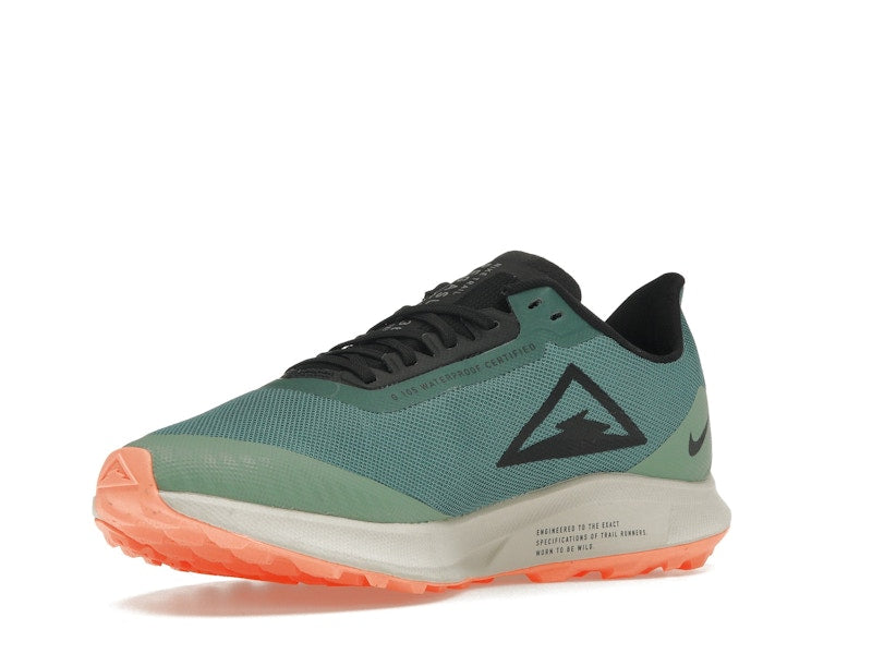 Nike Zoom Pegasus 36 Trail Gore-Tex Bicoastal (Women's)