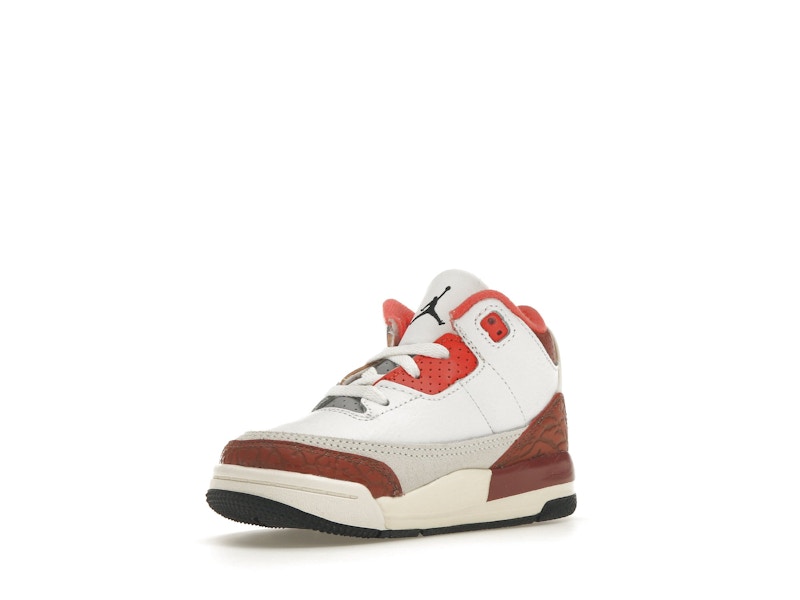 Jordan 3 Retro SE Dunk on Mars (TD)