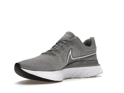 Nike React Infinity Run Flyknit 2 Particle Grey