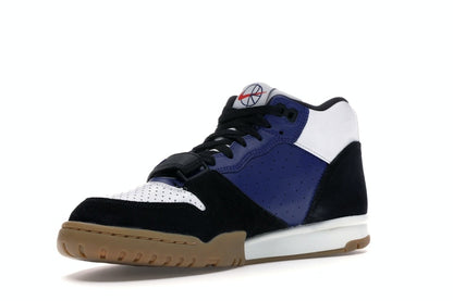 Nike SB Air Trainer 1 Polar Skate Co