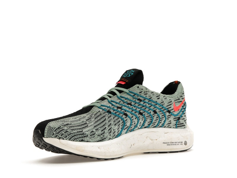 Nike Pegasus Turbo Next Nature 5 Borough Tour