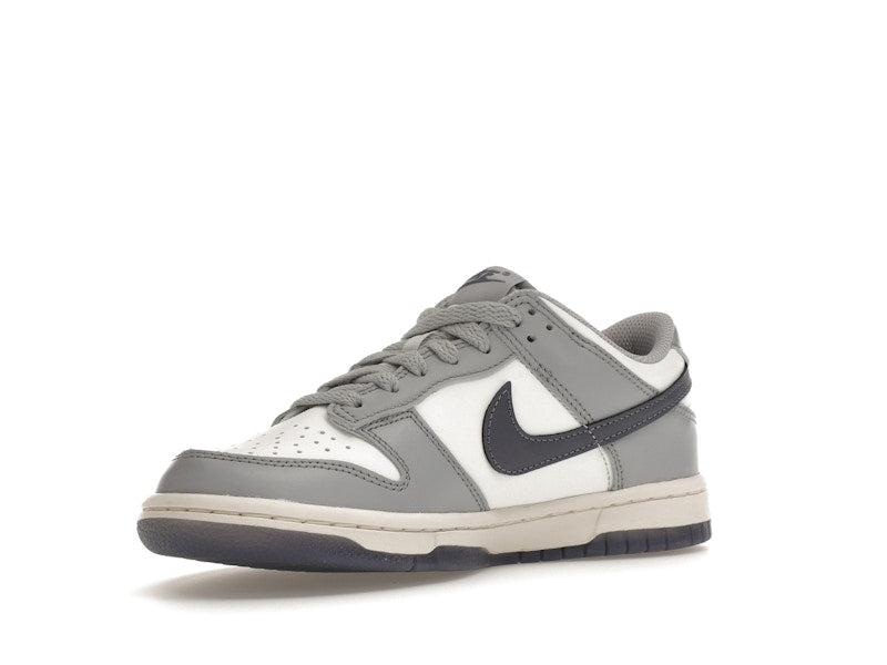 Nike Dunk Low Platinum Tint Light Carbon (GS)