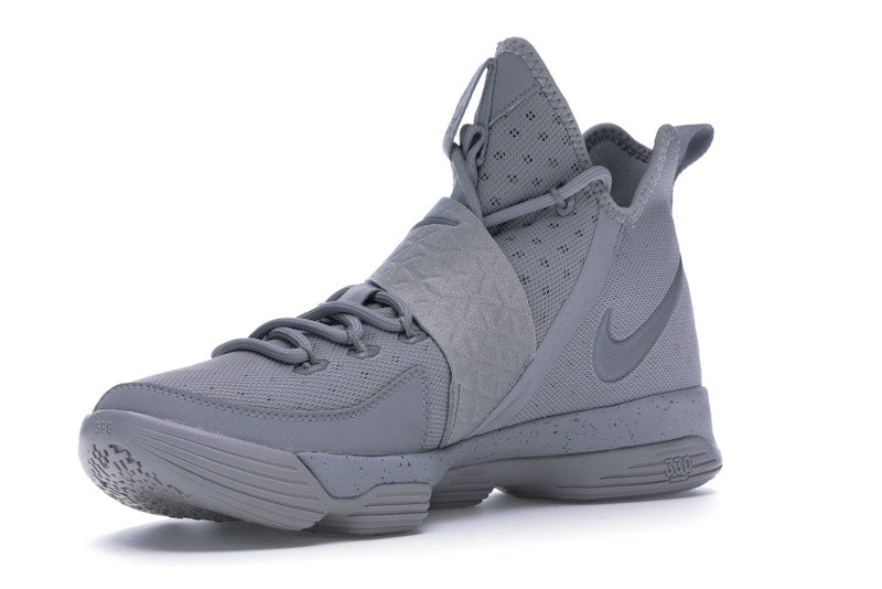 Nike LeBron 14 Silver
