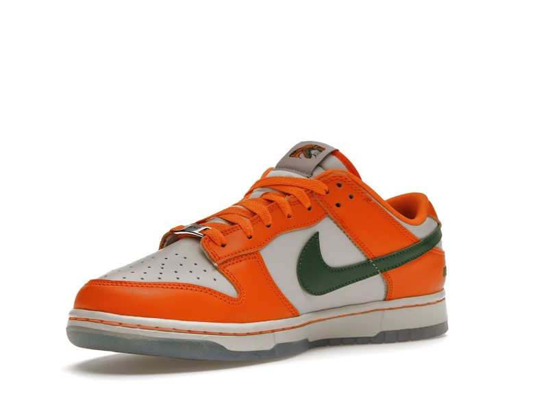 Nike Dunk Low FAMU