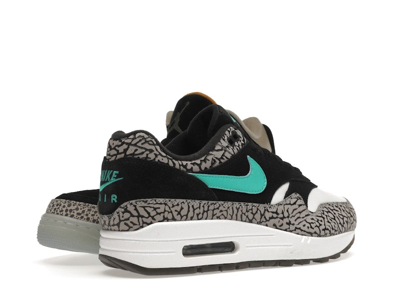 Jordan 3 Retro & Nike Air Max 1 atmos Pack