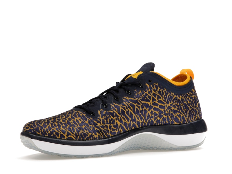 Jordan Trainer 1 Low Michigan