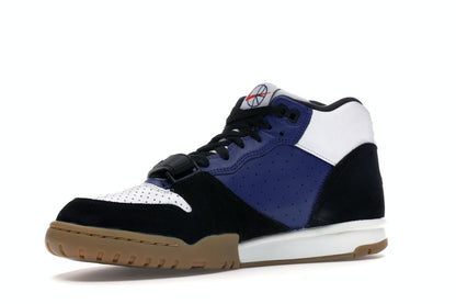 Nike SB Air Trainer 1 Polar Skate Co