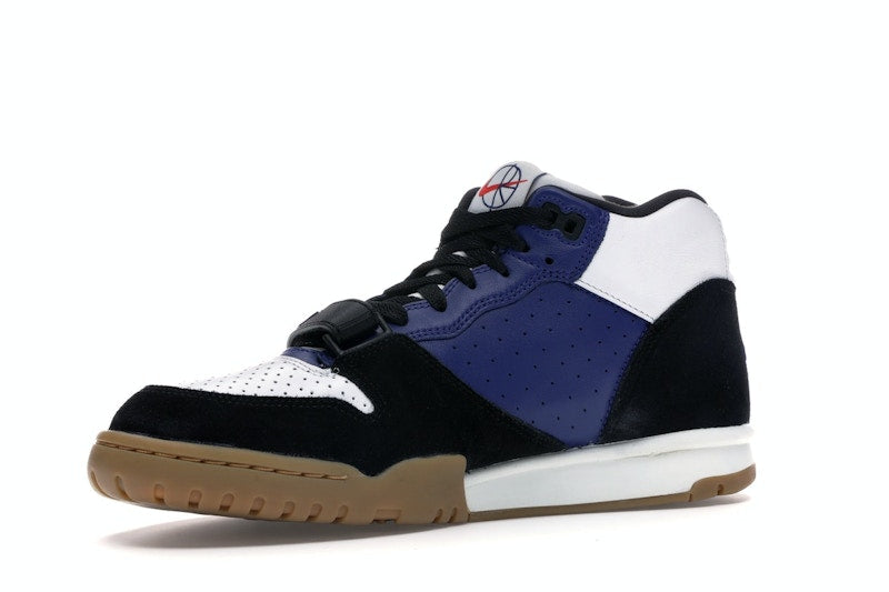 Nike SB Air Trainer 1 Polar Skate Co