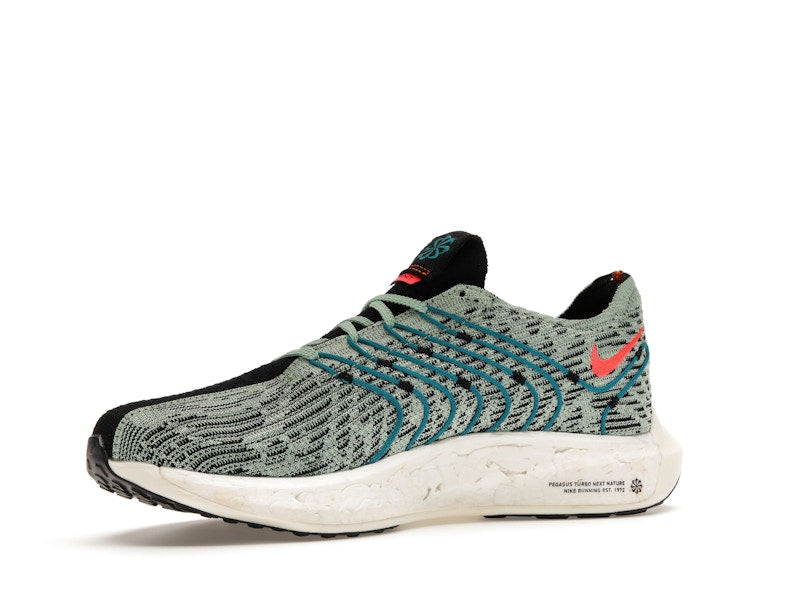 Nike Pegasus Turbo Next Nature 5 Borough Tour
