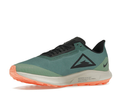 Nike Zoom Pegasus 36 Trail Gore-Tex Bicoastal (Women's)