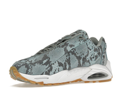 Nike Hot Step Air Terra Drake NOCTA Snakeskin Light Pumice