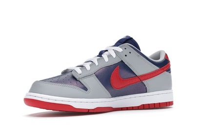 Nike Dunk Low CO.JP Samba (2020)
