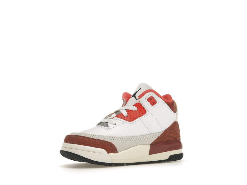 Jordan 3 Retro SE Dunk on Mars (TD)