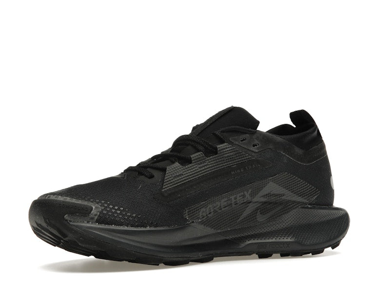 Nike React Pegasus Trail 5 Gore-Tex Black Anthracite