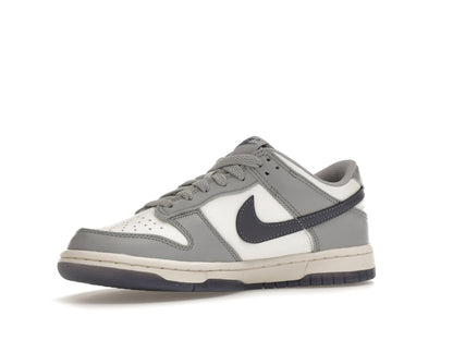 Nike Dunk Low Platinum Tint Light Carbon (GS)