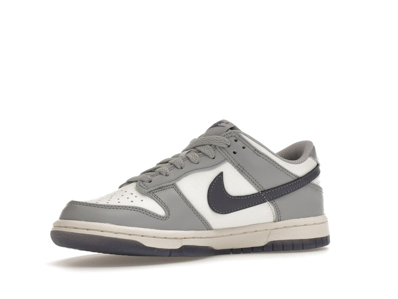 Nike Dunk Low Platinum Tint Light Carbon (GS)