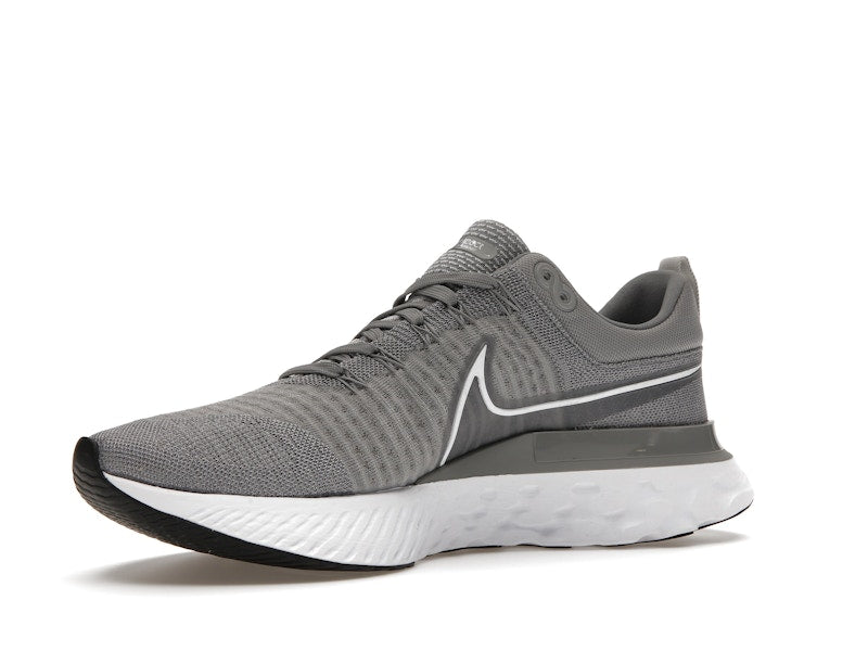 Nike React Infinity Run Flyknit 2 Particle Grey