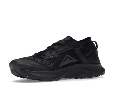 Nike Pegasus Trail 3 Gore-Tex Black Dark Smoke Grey