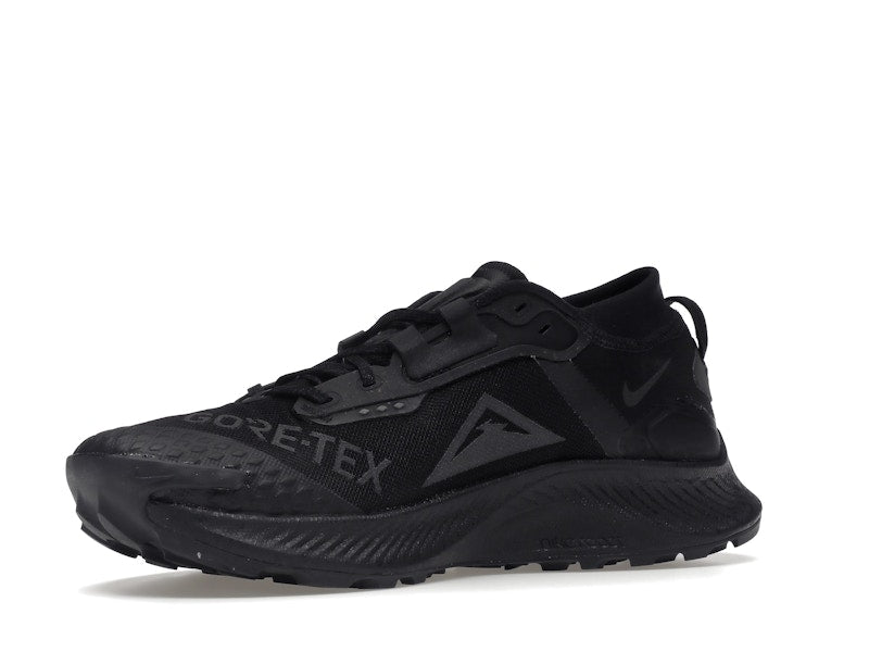 Nike Pegasus Trail 3 Gore-Tex Black Dark Smoke Grey