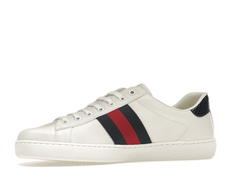 Gucci Ace Blue