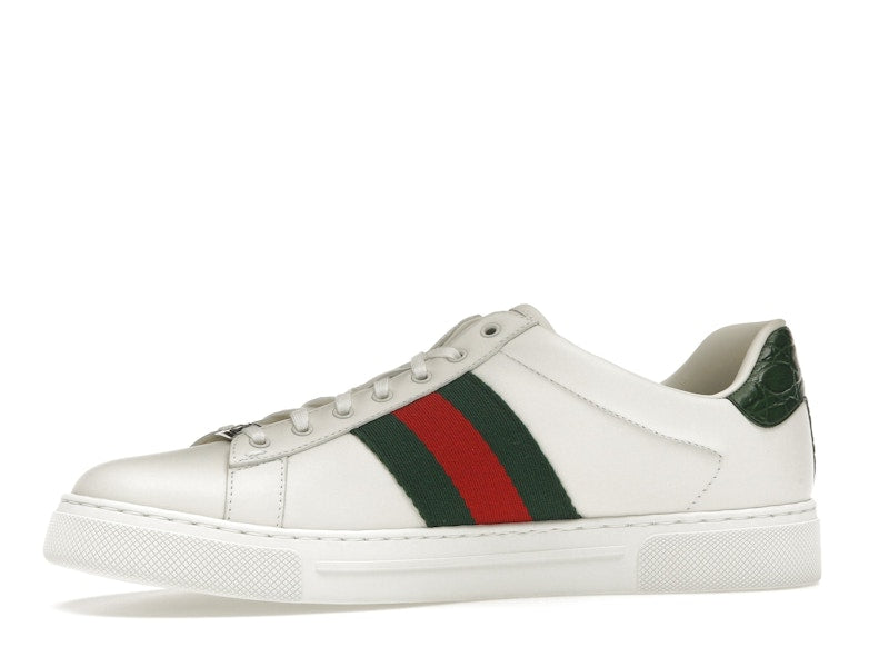 Gucci Ace Web White Green Red