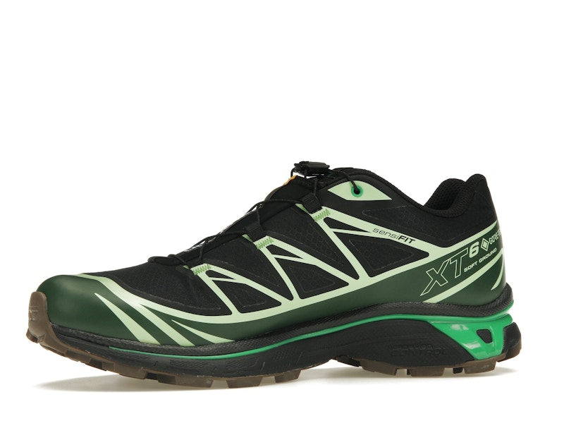 Salomon Advanced XT-6 Gore-Tex Eden Green Ash