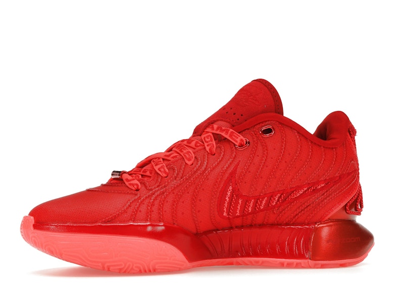 Nike LeBron 21 James Gang