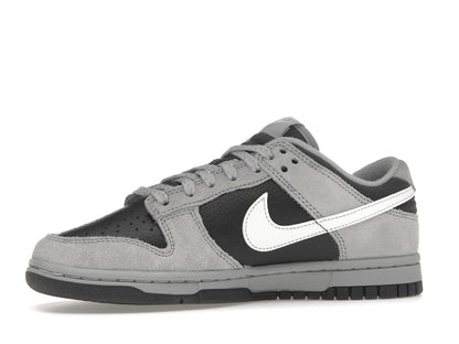 Nike Dunk Low Light Smoke Grey Anthracite