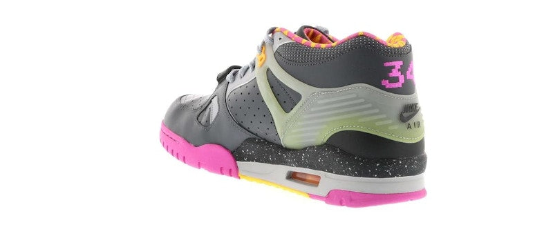 Nike Air Trainer III Bo Knows Horse Racing
