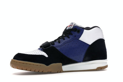 Nike SB Air Trainer 1 Polar Skate Co
