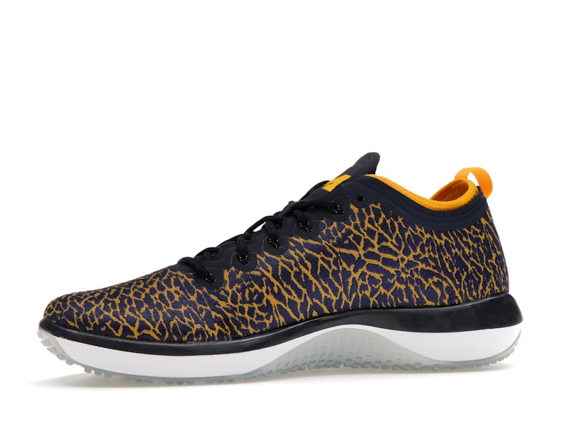 Jordan Trainer 1 Low Michigan